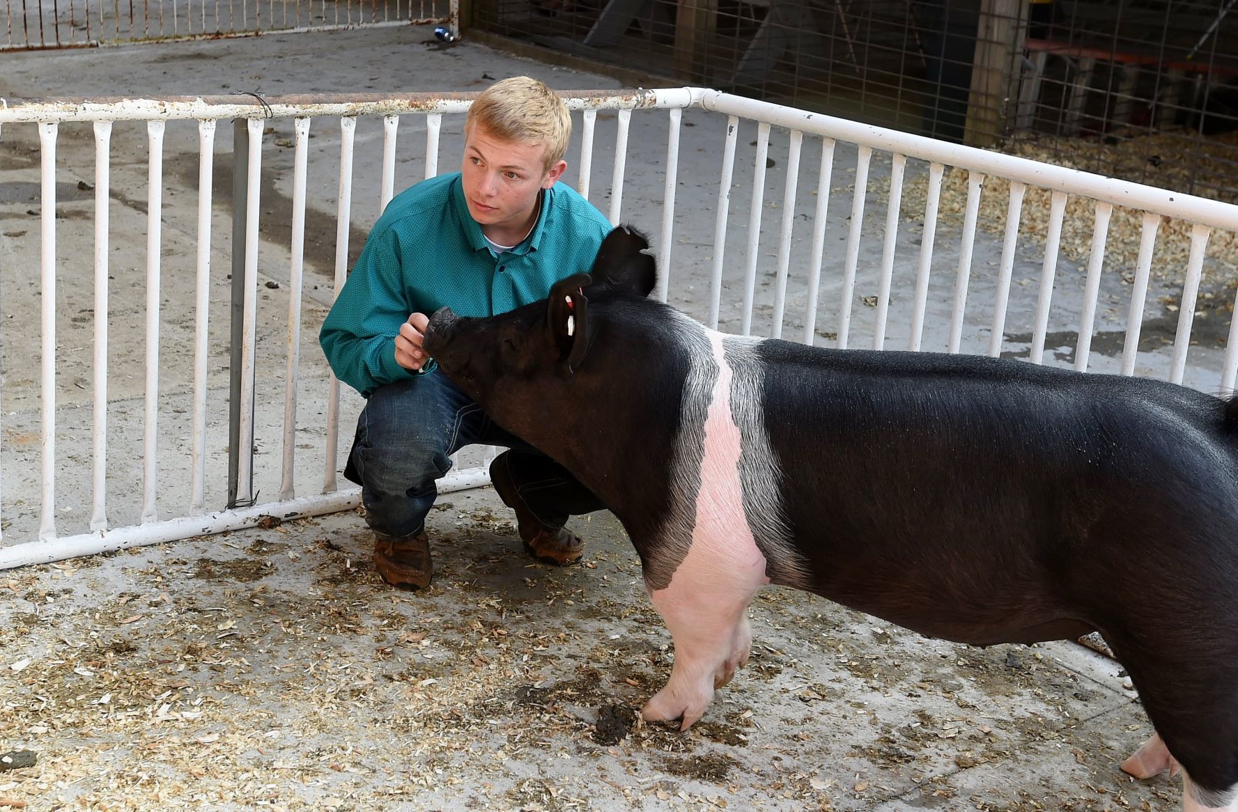 Racine County Fair 2019
